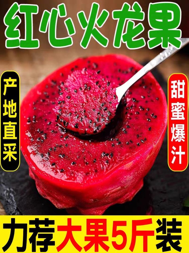 火龙果/红心火龙果/海南红心火龙果/京都一号/圆胖子