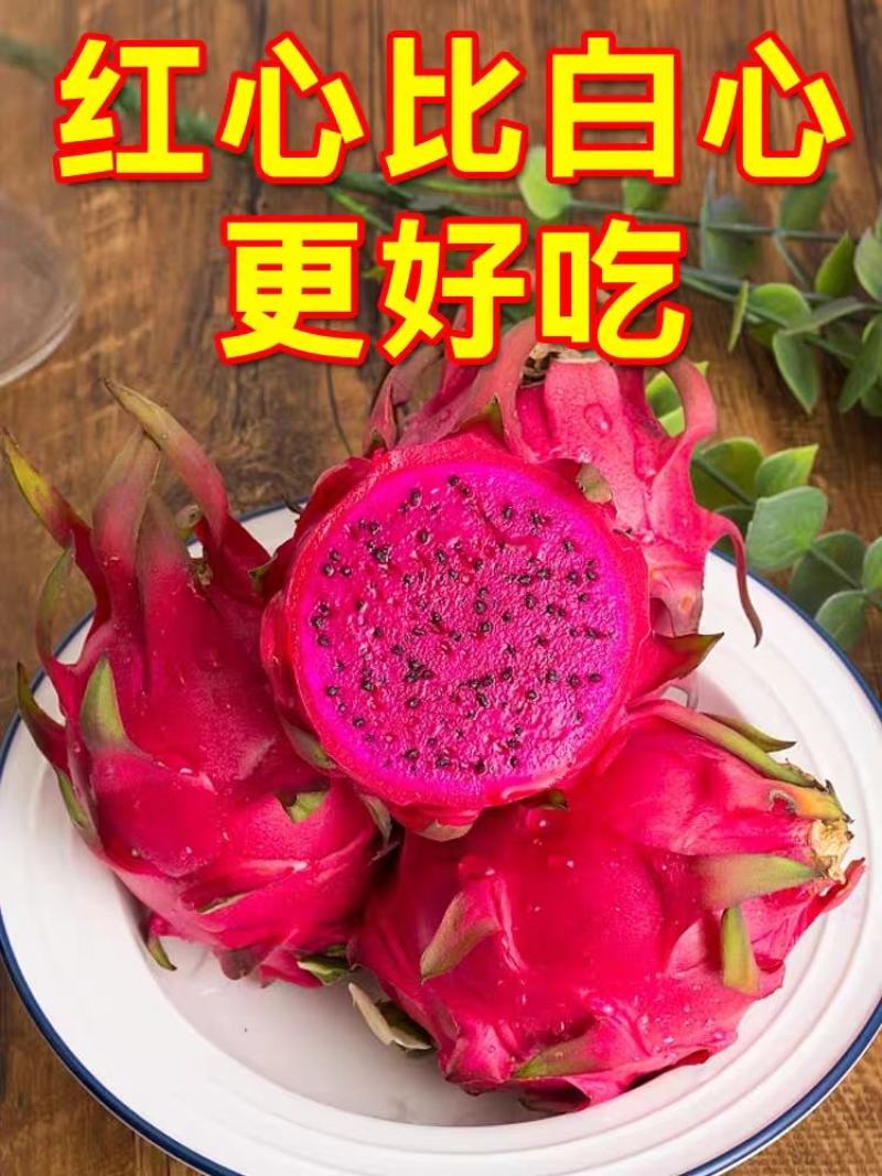 火龙果/红心火龙果/海南红心火龙果/京都一号/圆胖子