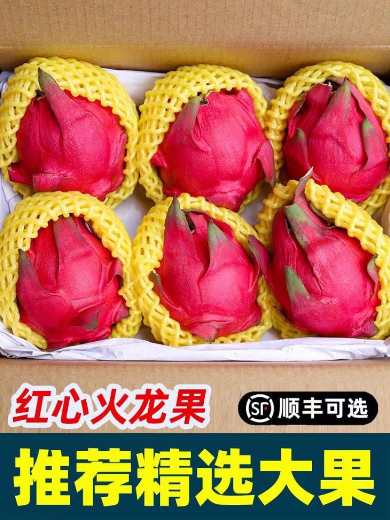 火龙果/红心火龙果/海南红心火龙果/京都一号/圆胖子