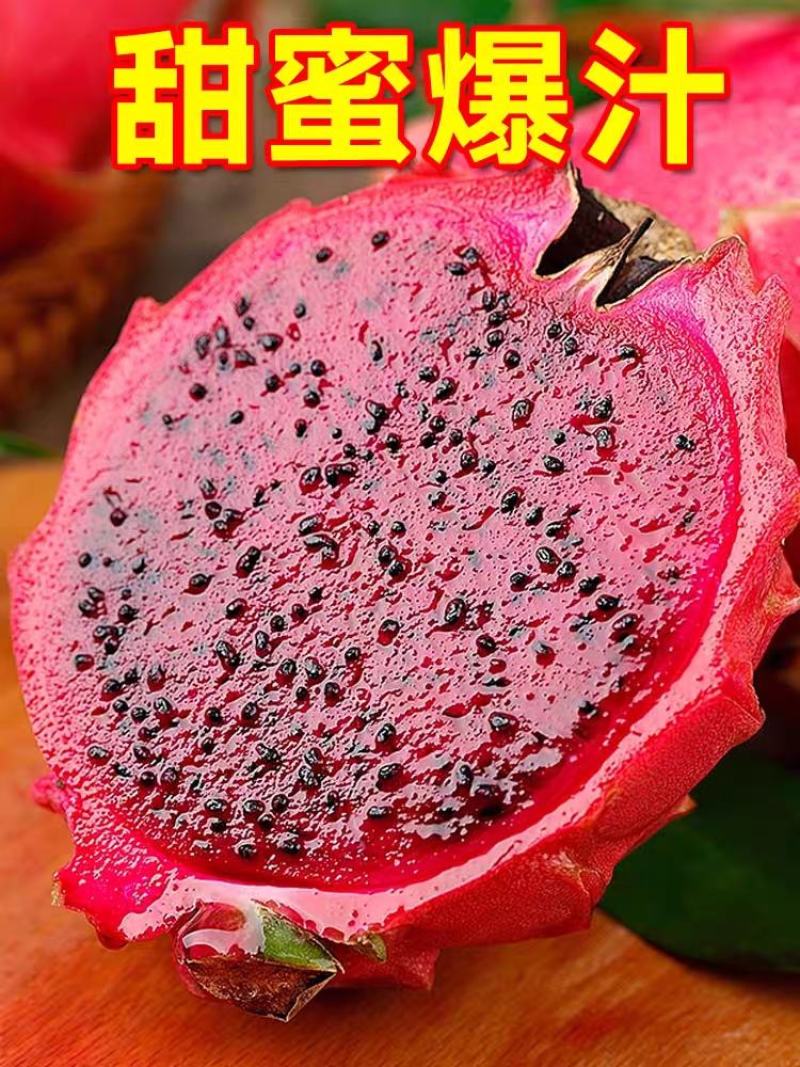 火龙果/红心火龙果/海南红心火龙果/京都一号/圆胖子