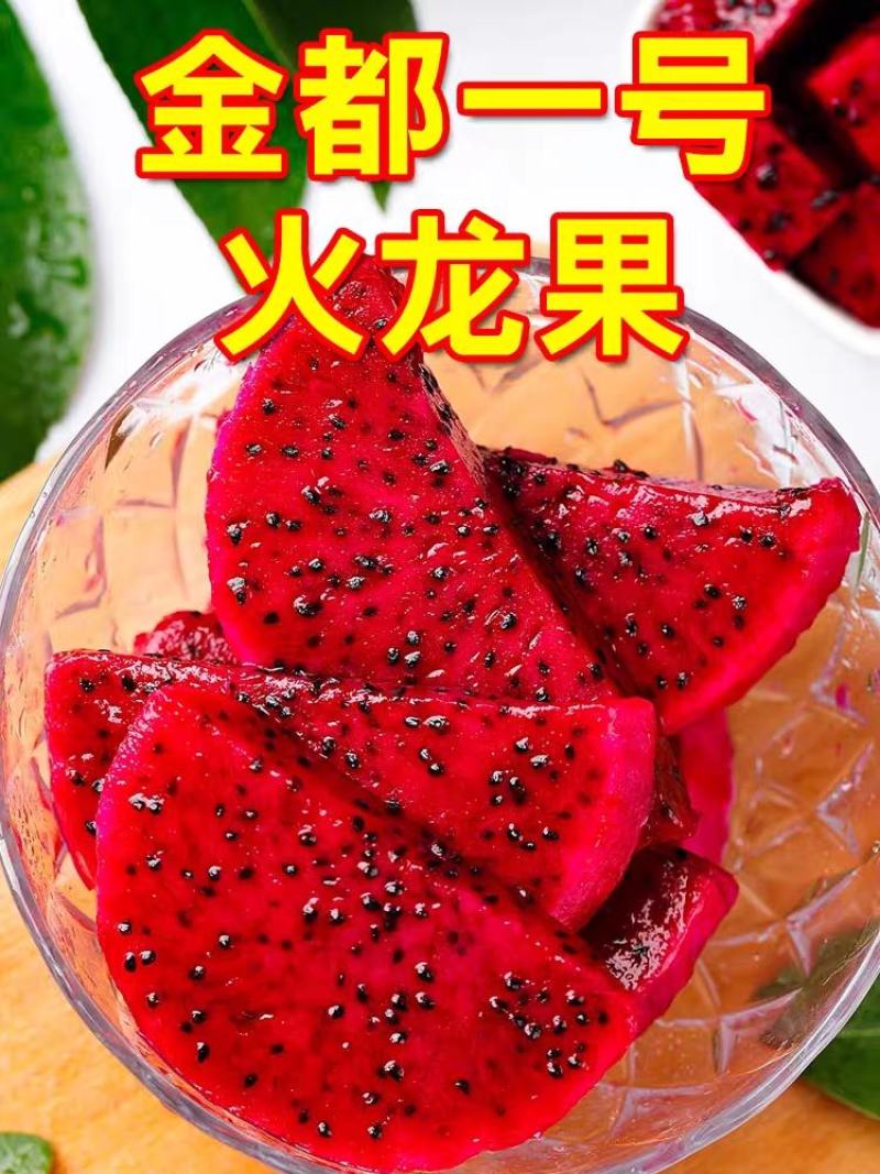 火龙果/红心火龙果/海南红心火龙果/京都一号/圆胖子