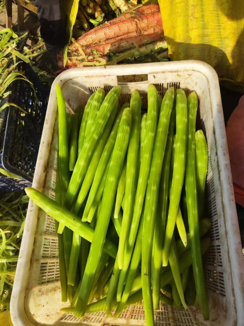 兰陵莴笋莴笋肉产地直供价格便宜欢迎来电