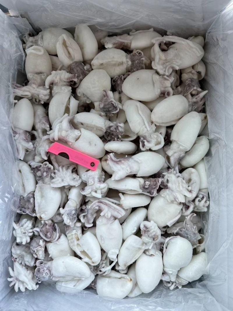墨鱼仔，分为带冰衣，和无冰衣