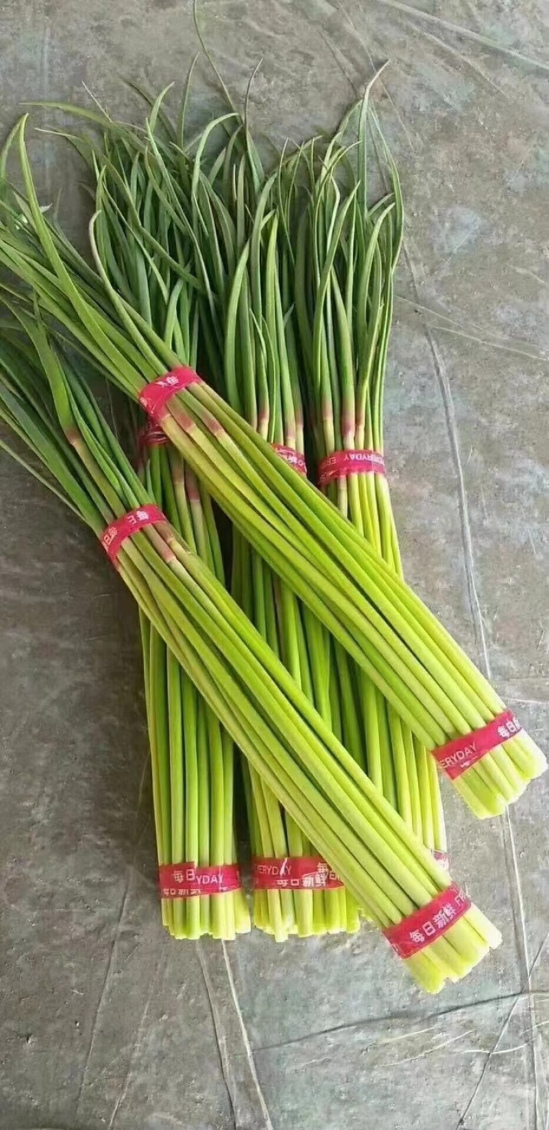 精品红帽蒜苔代储代发全国批发市场平台值供