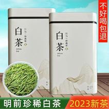 特级安吉白茶，2023年新茶，明前绿茶一芽一叶头采黄金芽