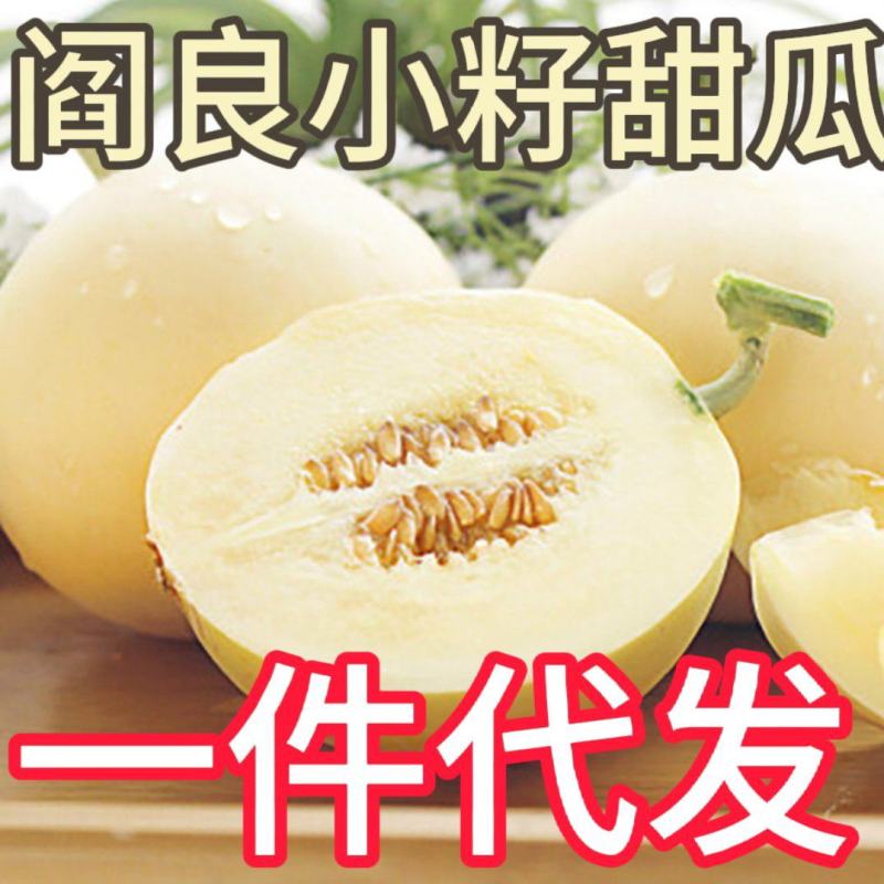 【一件代发】阎良甜瓜小籽头茬现摘现发对接电商平台支持。