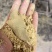 小米油糠脂肪15蛋白15用于养殖或者饲料厂