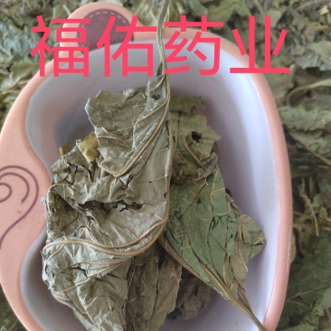 桑叶，青桑叶药用，散装统货，价格实惠，丹丹中药