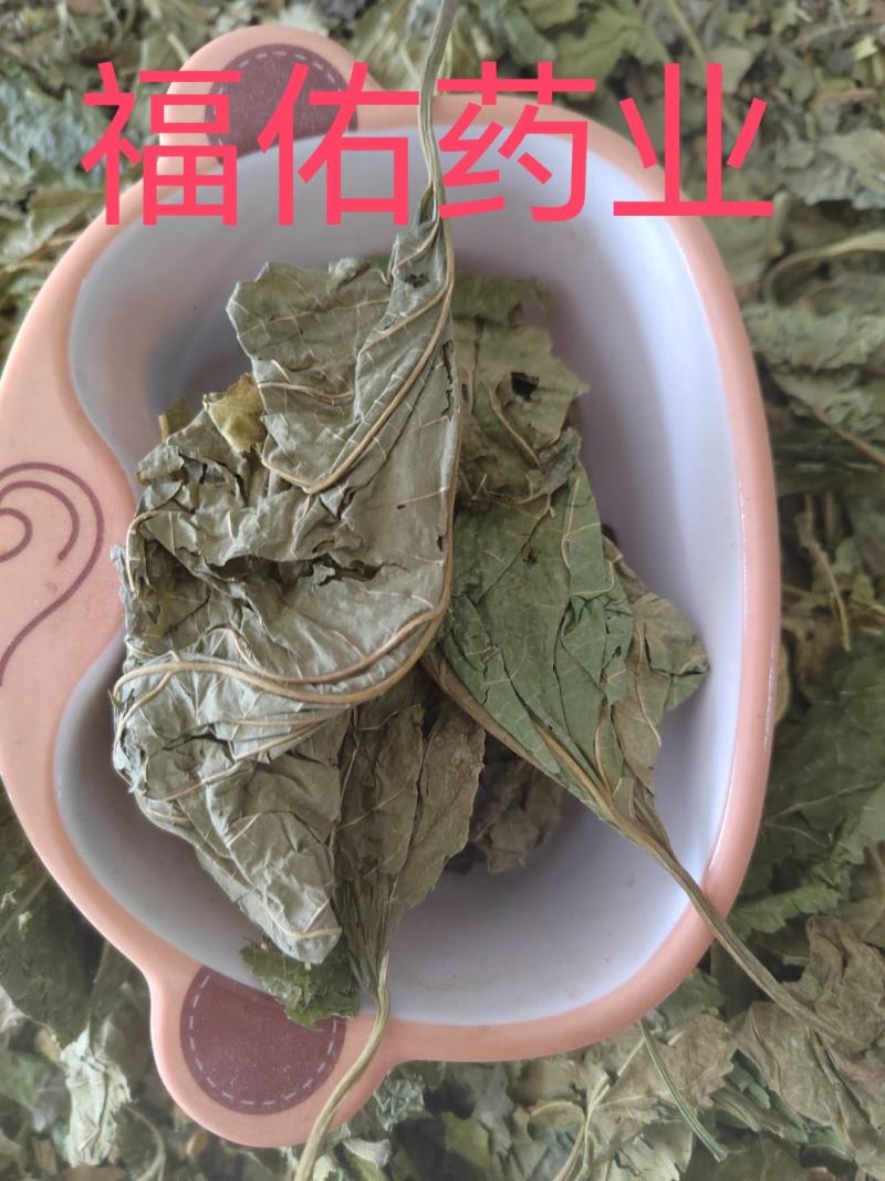 桑叶，青桑叶药用，散装统货，价格实惠，丹丹中药