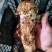 云南野生鸡枞，松茸，松露，牛肝菌