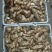 云南野生鸡枞，松茸，松露，牛肝菌