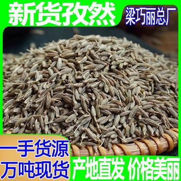 新货孜然烧烤调味料孜然粉孜然粒现打现磨孜然香辛料批发