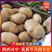 汉中城固土豆，沃土，226，大量有货质量保障量大从优