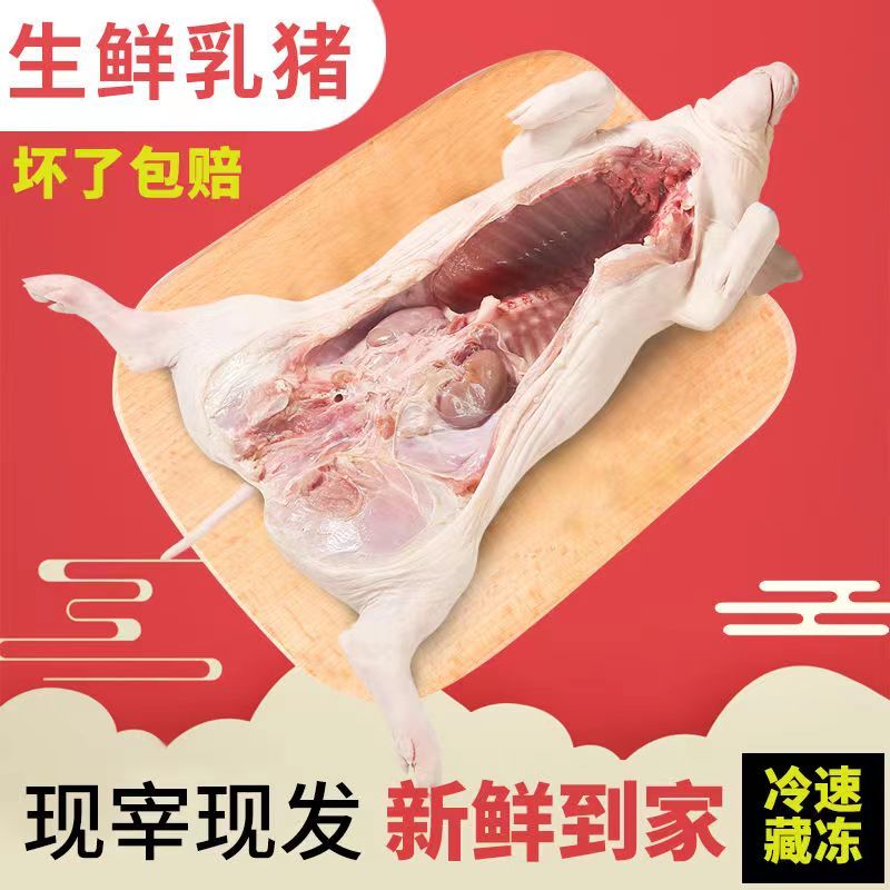 鲜冻乳猪批发