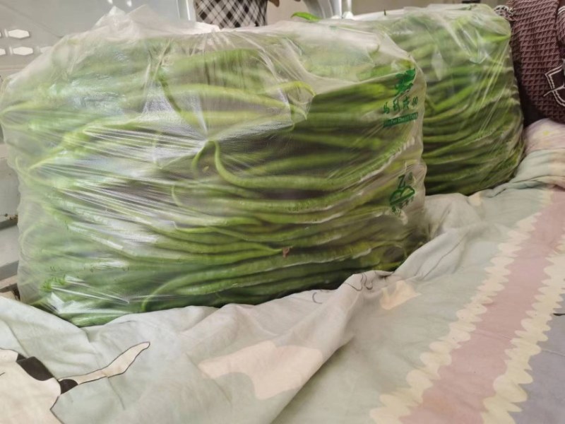 精品线椒，上市了。现摘鲜货，保证质量