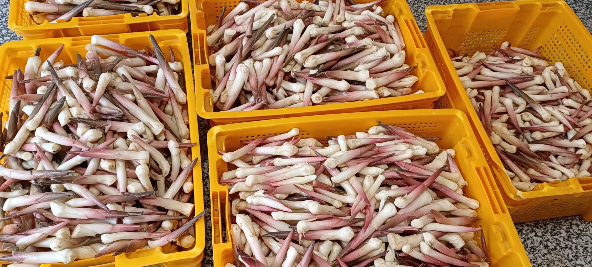 图片说明:农贸市场中老姜与生姜并列销售,顾客正在挑选 姜类市场销售场景