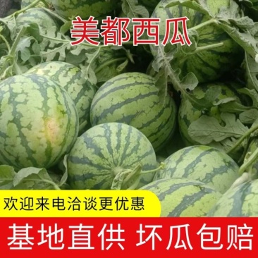 【实力】山西西瓜，美都西瓜，基地直供，欢迎来电洽谈