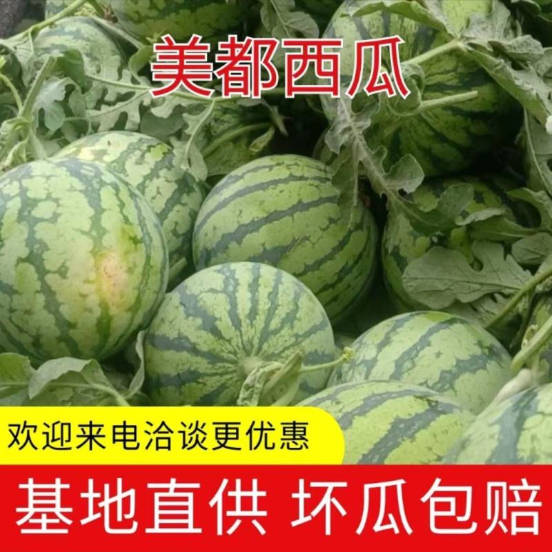 【实力】山西西瓜，美都西瓜，基地直供，欢迎来电洽谈