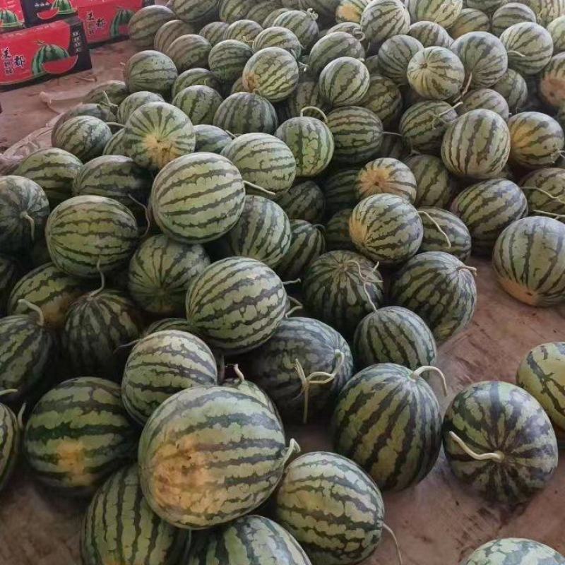 （美都西瓜）西瓜，美都麒麟西瓜，基地直发，坏瓜包赔