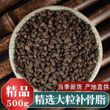 【补骨脂】中药材补骨脂破故纸故纸破纸子无硫补骨脂包邮