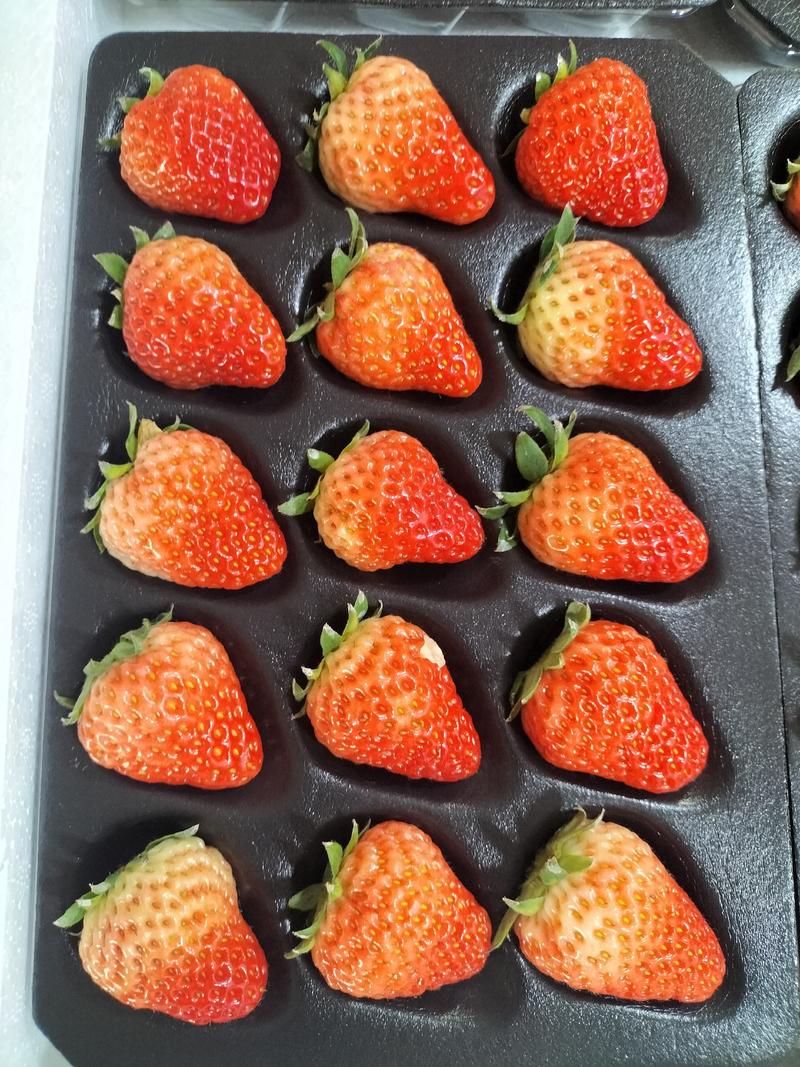 长丰草莓