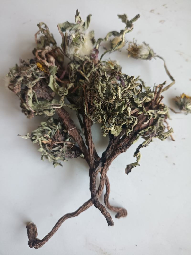 蒲公英，手选野生，带根全棵，高含量，支持在线下单