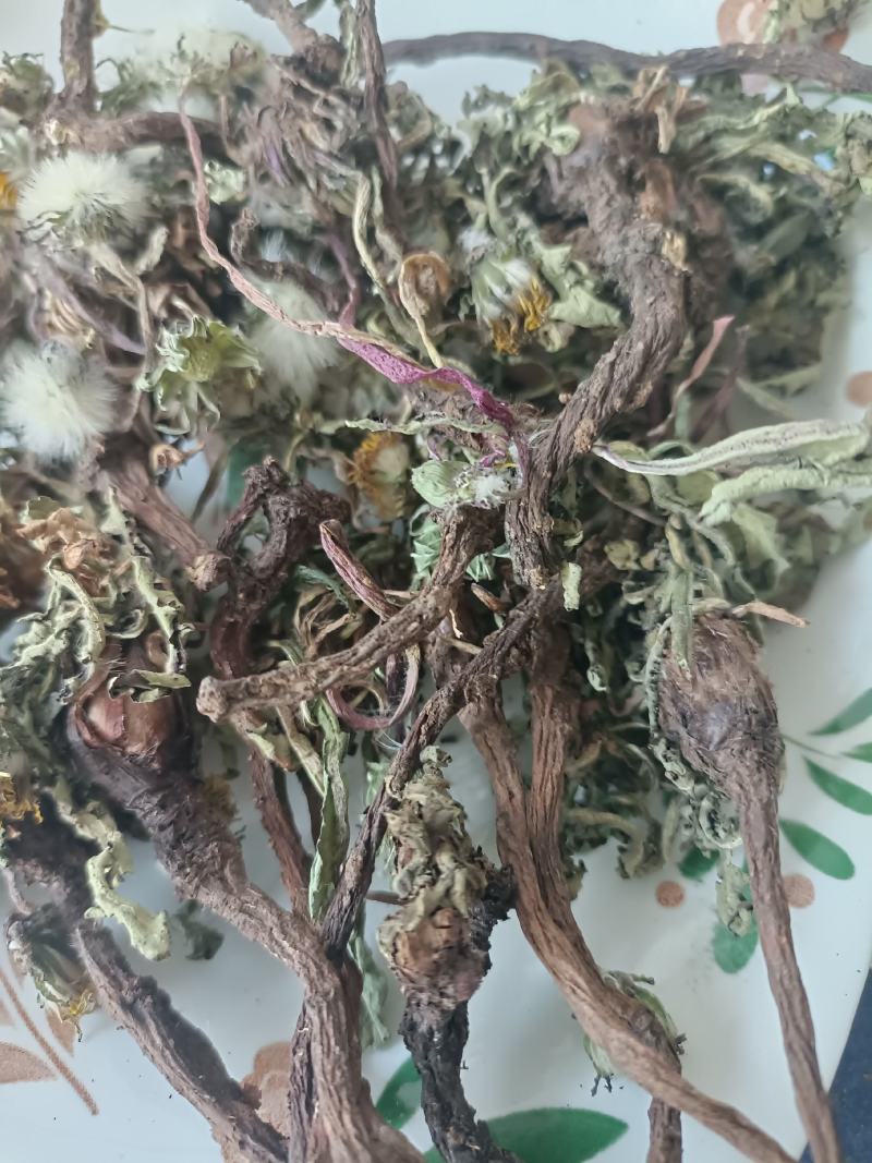 蒲公英，手选野生，带根全棵，高含量，支持在线下单