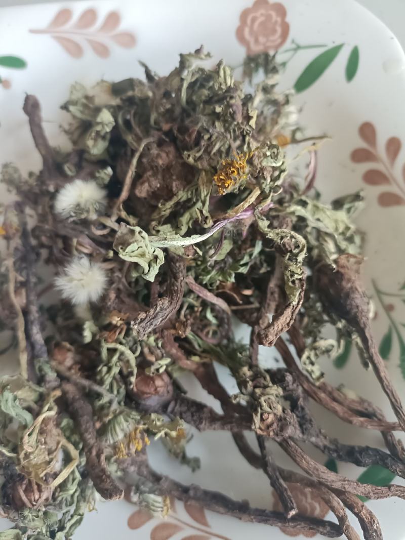 蒲公英，手选野生，带根全棵，高含量，支持在线下单