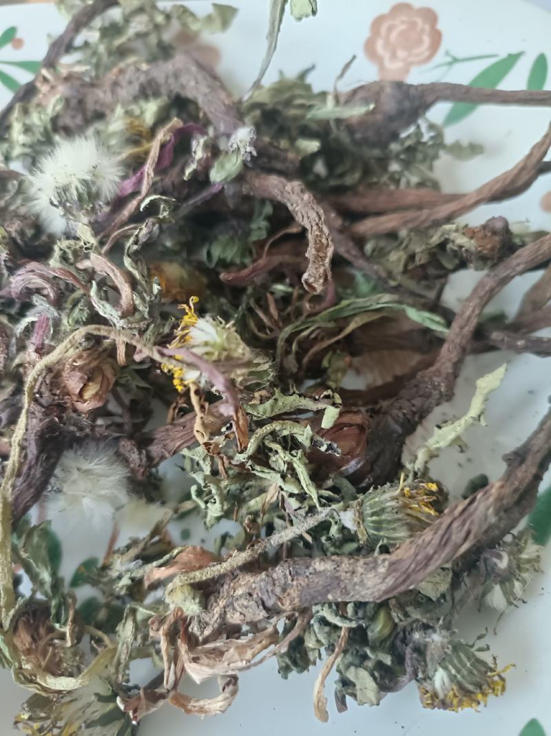 蒲公英，手选野生，带根全棵，高含量，支持在线下单