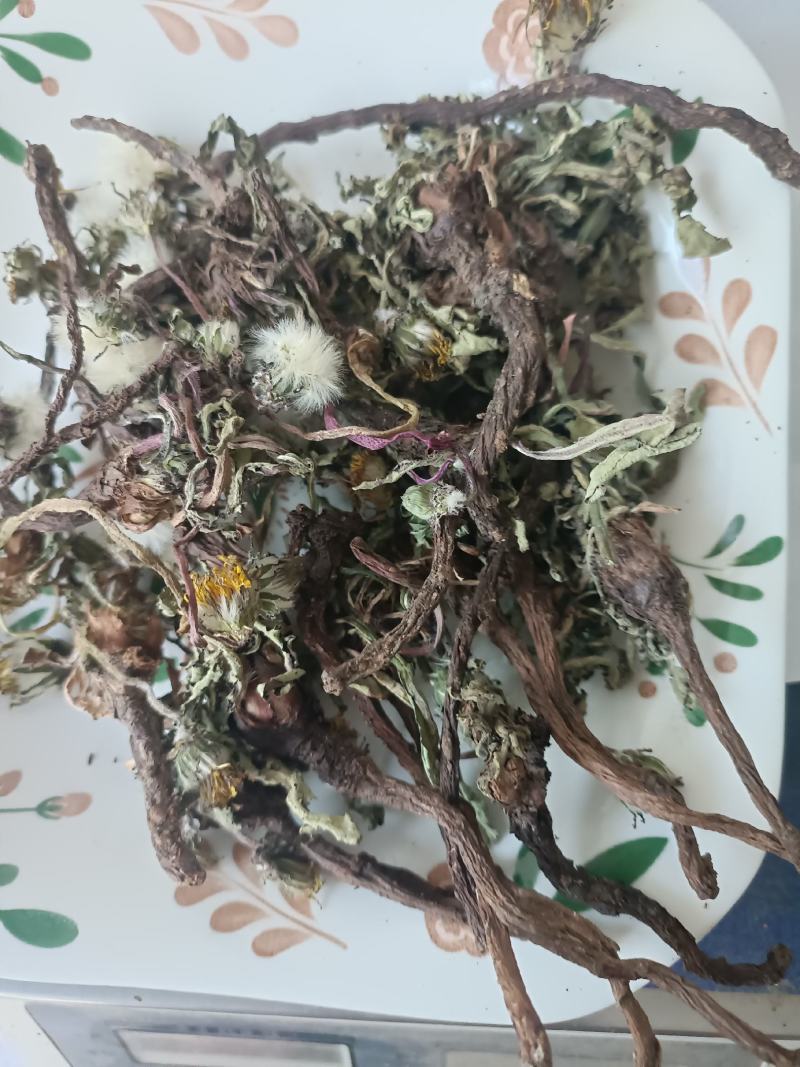 蒲公英，手选野生，带根全棵，高含量，支持在线下单