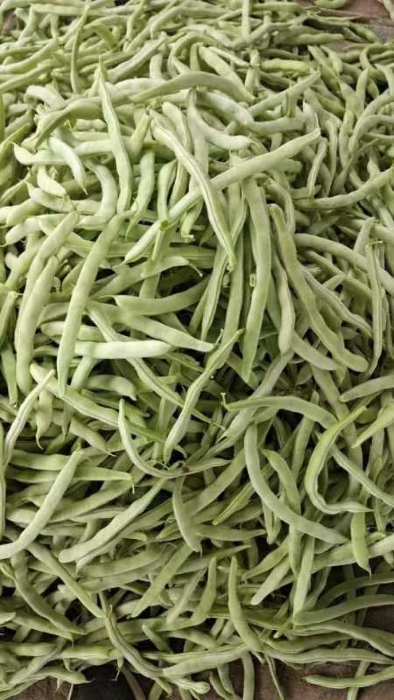 精品白不老