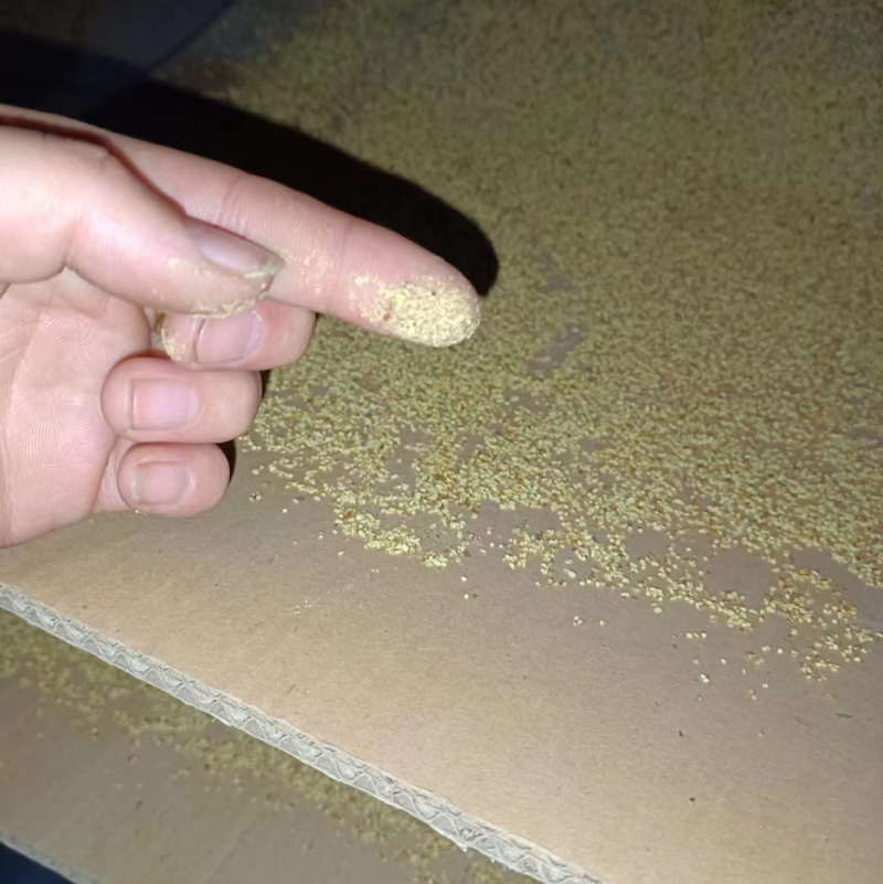 苹果花粉厂家直销经营品质保证要实地考察验货诚信