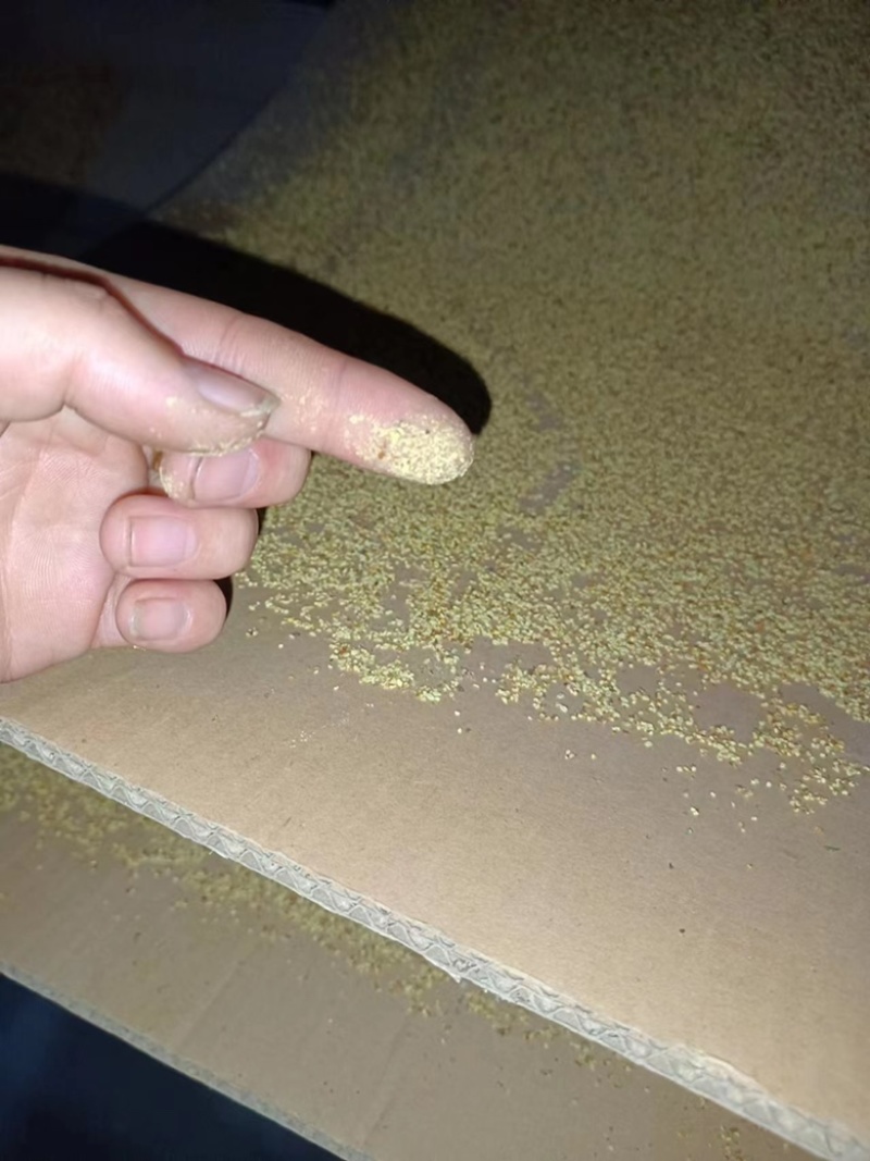 苹果花粉厂家直销经营品质保证要实地考察验货诚信