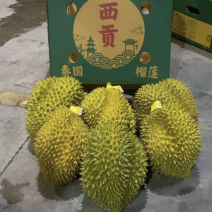 金枕榴莲泰国越南A6净果33斤可切柜一件批发价