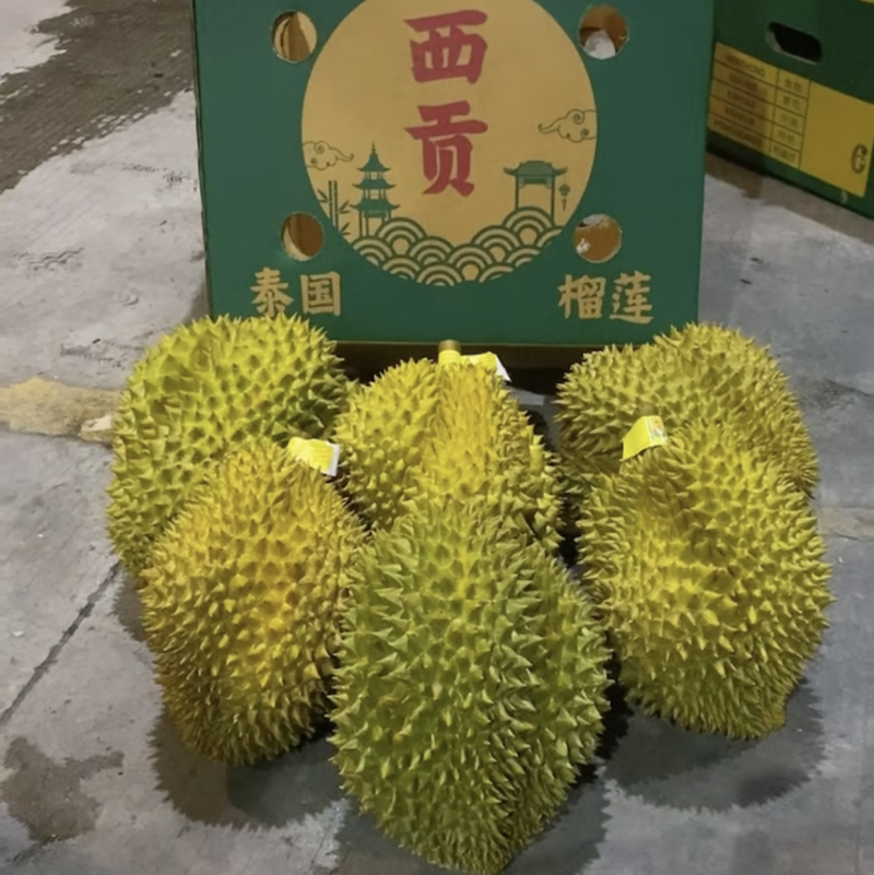 金枕榴莲泰国越南A6净果33斤可切柜一件批发价