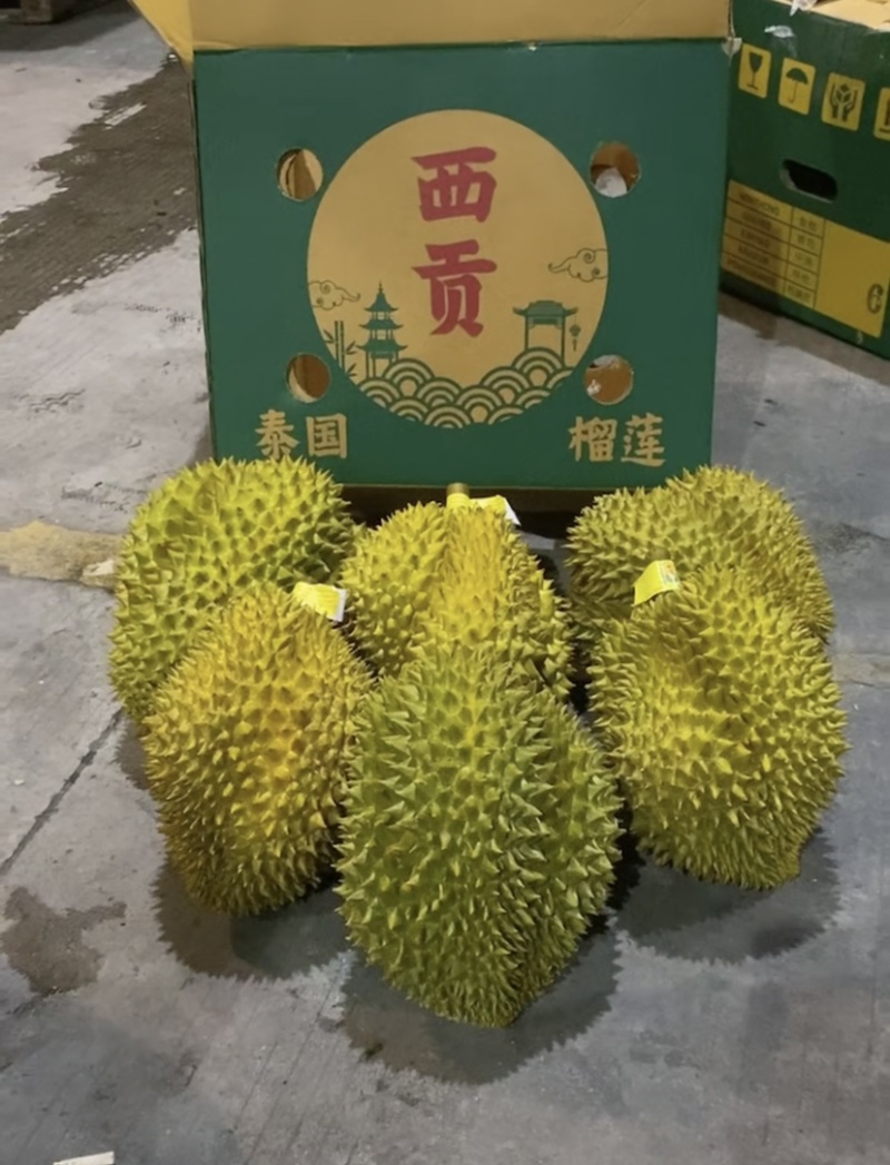 金枕榴莲泰国越南A6净果33斤可切柜一件批发价