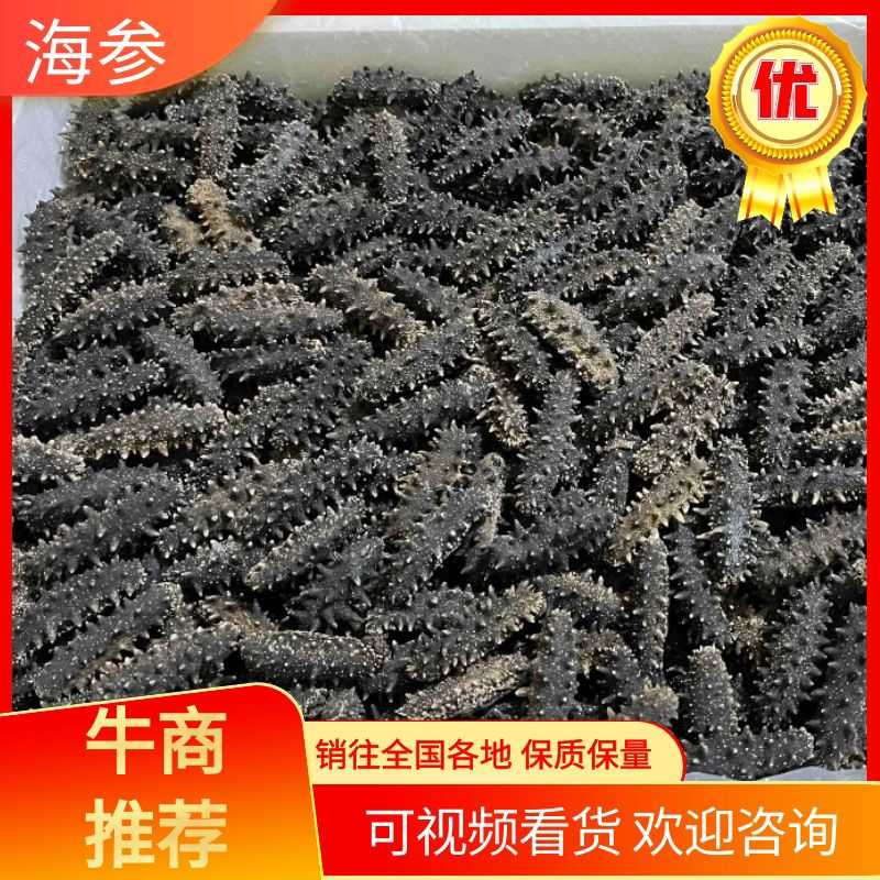 【推荐】高品质刺参辽参自家加工，各种淡干海参联系
