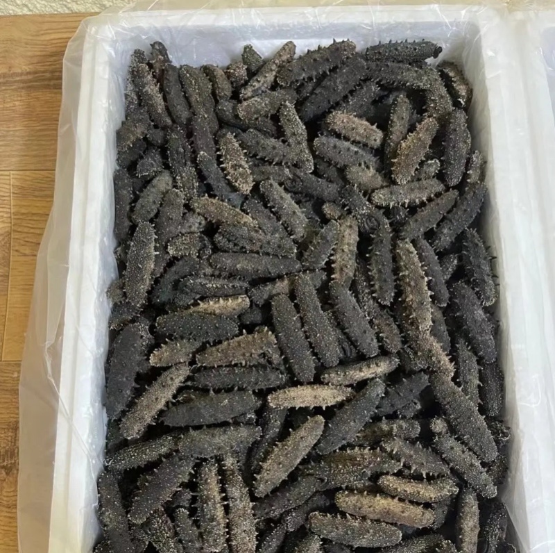 辽参大连底播纯淡干，自家加工，源头工厂，保发18斤