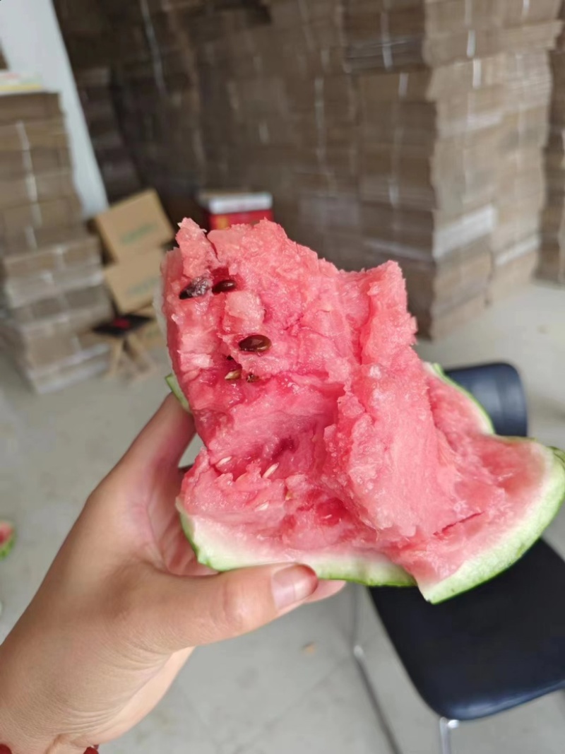 山东潍坊西瓜产地货源一手货量大从优可视频看货