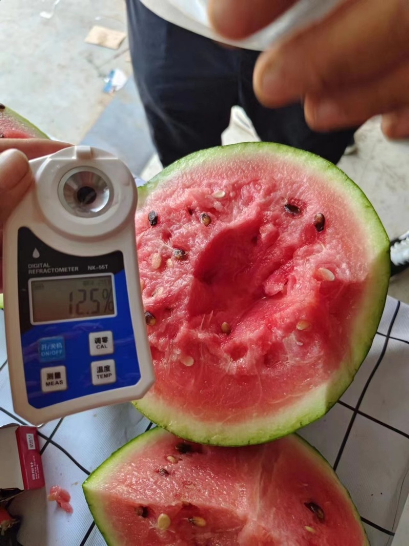 山东潍坊西瓜产地货源一手货量大从优可视频看货