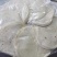 淄博小饼，一包六片。一箱100包，源头厂家，一件发货
