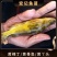 精品黄骨鱼黄桑鱼昂刺黄辣丁规格齐全渔场直供技术指导