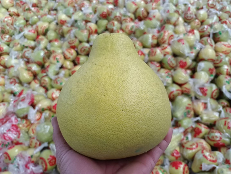 柱状图对比沙田柚、橙子、苹果、香蕉四种水果每100克的可溶性糖含量与GI值,标注沙田柚在两项指标中均处于较低区间,配色清新,信息清晰易读 沙田柚营养成分对比图表