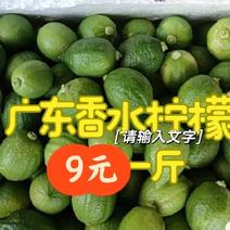 广东香水柠檬一级果