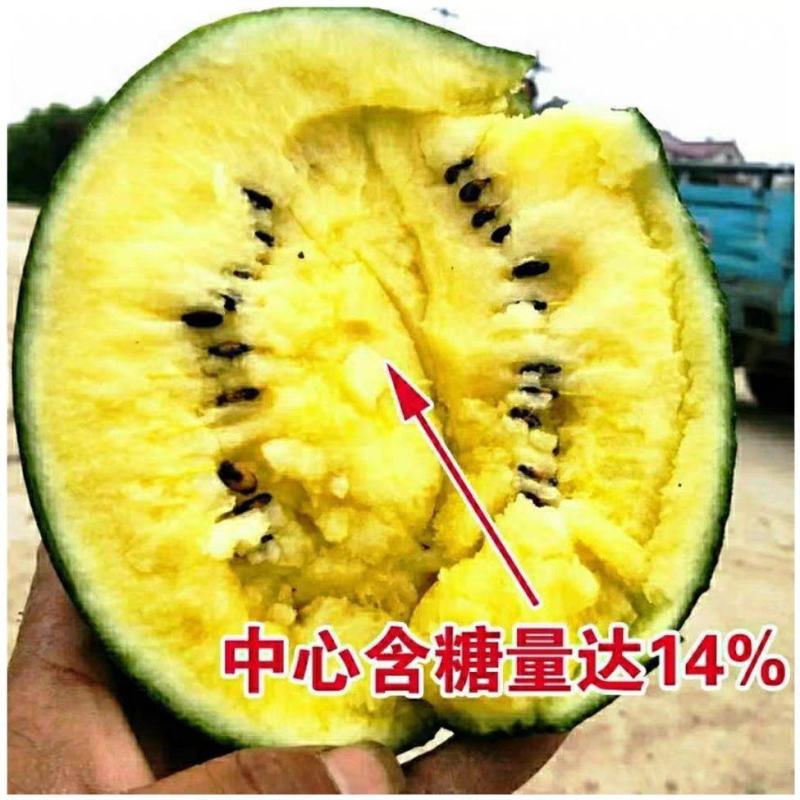 黄瓤特小凤薄皮黄心西瓜冰淇淋西瓜江苏特小凤