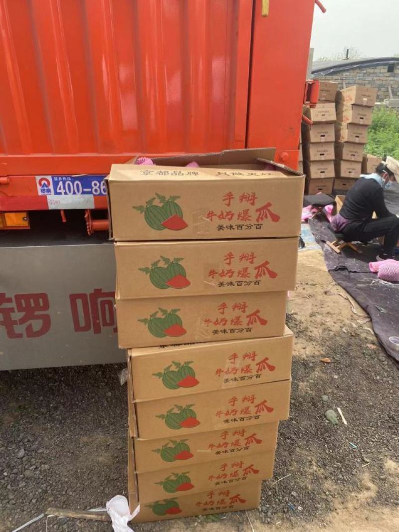 山东潍坊全美2K小西瓜2K小吊瓜小糖丸牛奶小爆瓜冰糖籽