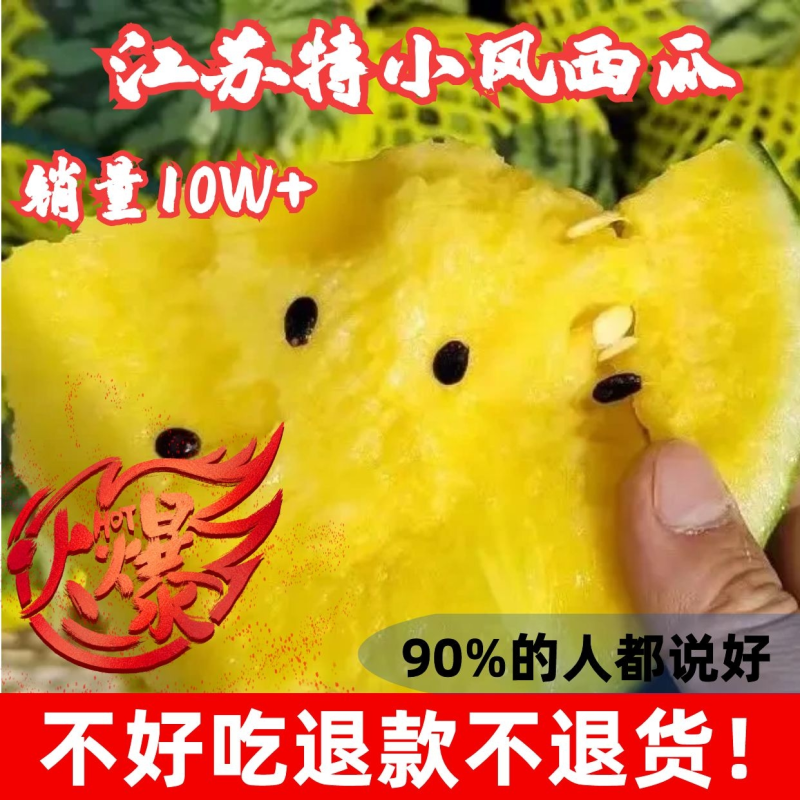 沭阳西瓜特小凤黄心西瓜水润清甜大量上市、量大从优