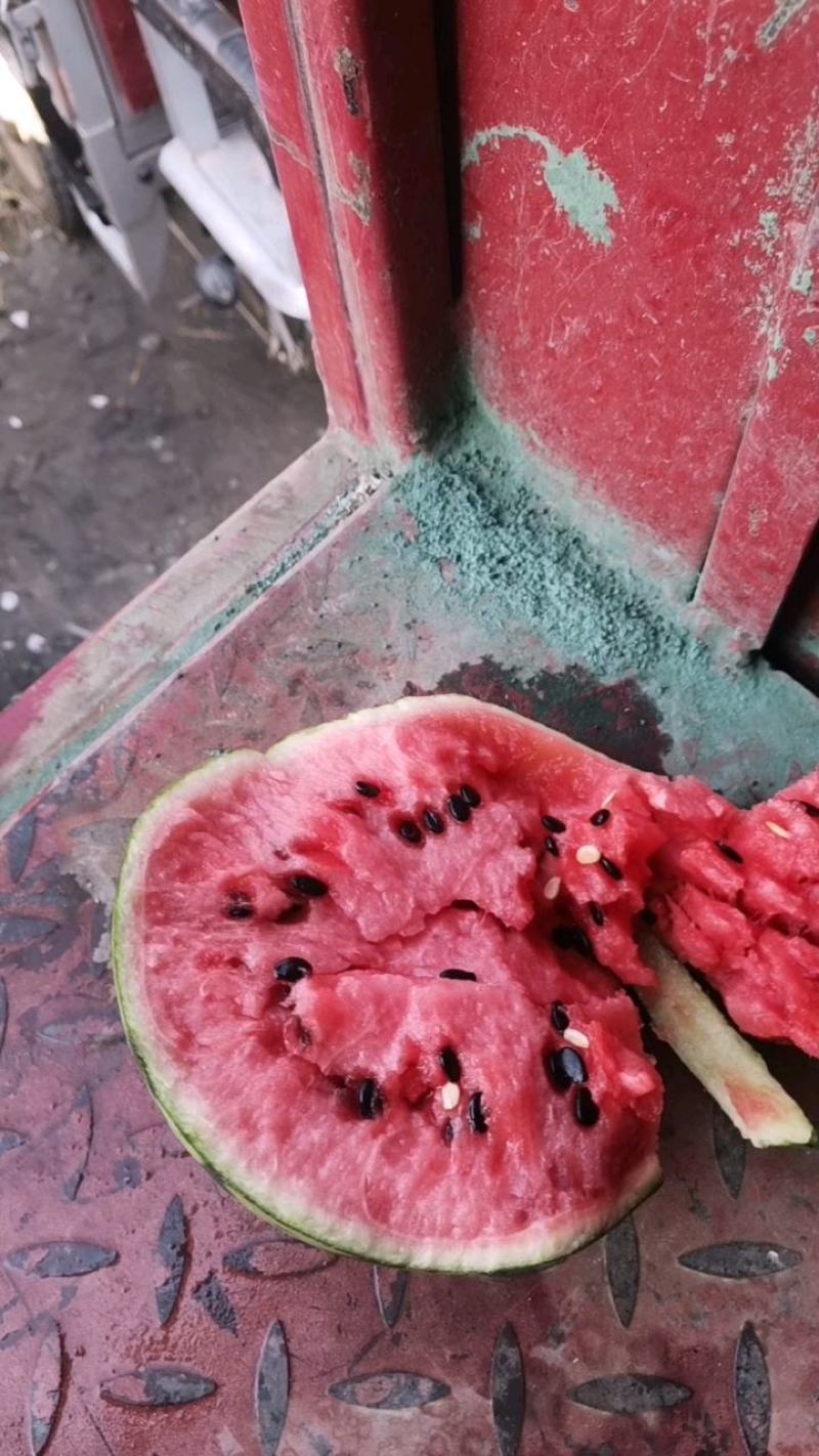 精品美都西瓜大量上市中，其皮薄肉质松，颜色深红色，口感甜