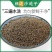 正宗野生沙苑子批批中草药盐炒苑子粉泡茶菟丝子沙苑子