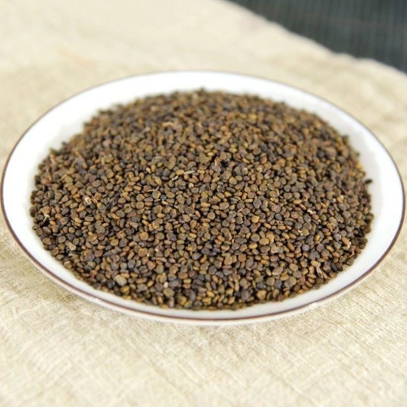 正宗野生沙苑子批批中草药盐炒苑子粉泡茶菟丝子沙苑子